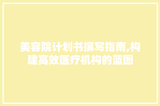 美容院计划书撰写指南,构建高效医疗机构的蓝图