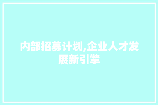 内部招募计划,企业人才发展新引擎