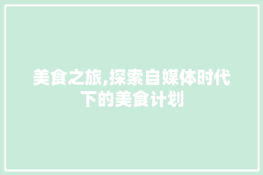 美食之旅,探索自媒体时代下的美食计划