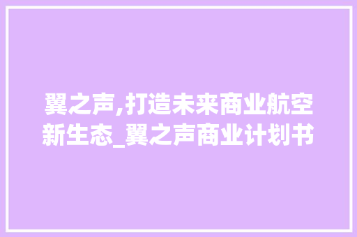 翼之声,打造未来商业航空新生态_翼之声商业计划书详细介绍