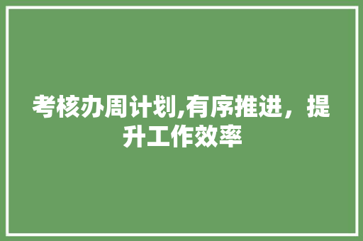 考核办周计划,有序推进，提升工作效率
