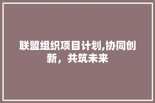 联盟组织项目计划,协同创新，共筑未来