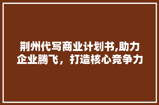 荆州代写商业计划书,助力企业腾飞，打造核心竞争力