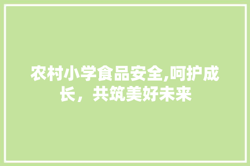 农村小学食品安全,呵护成长，共筑美好未来