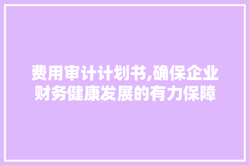 费用审计计划书,确保企业财务健康发展的有力保障