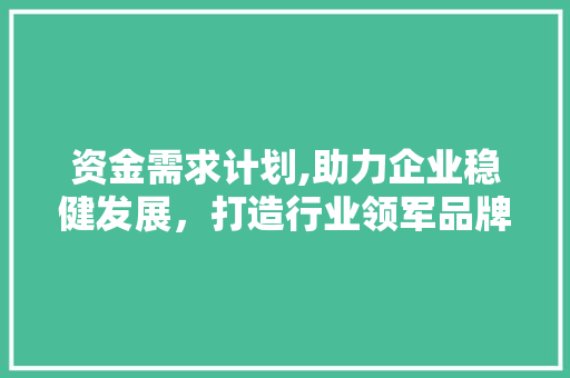 资金需求计划,助力企业稳健发展，打造行业领军品牌