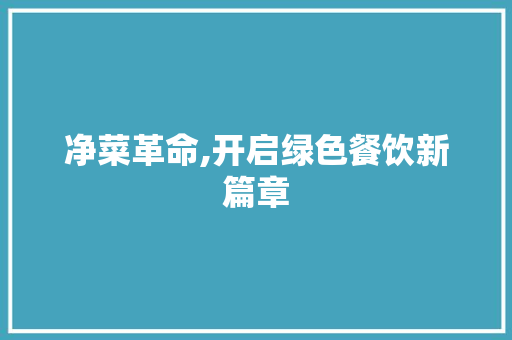 净菜革命,开启绿色餐饮新篇章