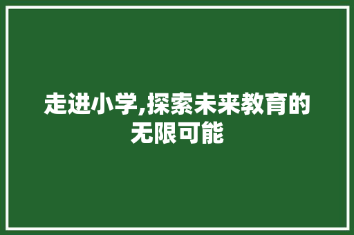 走进小学,探索未来教育的无限可能