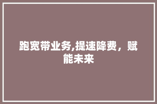 跑宽带业务,提速降费，赋能未来