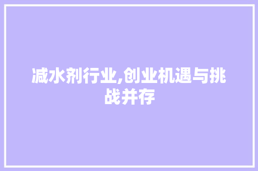 减水剂行业,创业机遇与挑战并存
