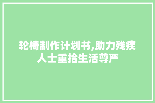 轮椅制作计划书,助力残疾人士重拾生活尊严