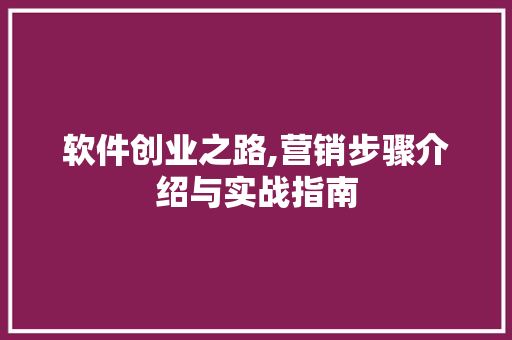 软件创业之路,营销步骤介绍与实战指南