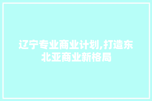 辽宁专业商业计划,打造东北亚商业新格局