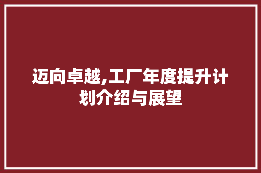 迈向卓越,工厂年度提升计划介绍与展望