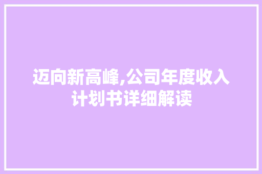 迈向新高峰,公司年度收入计划书详细解读