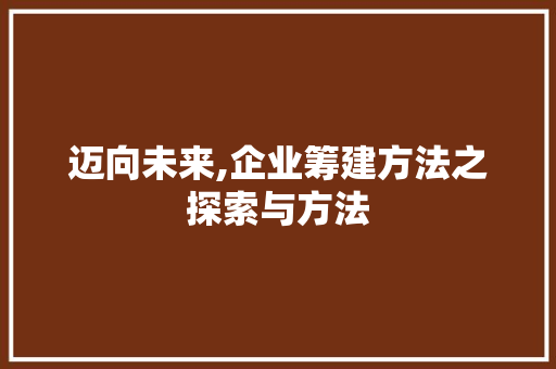 迈向未来,企业筹建方法之探索与方法