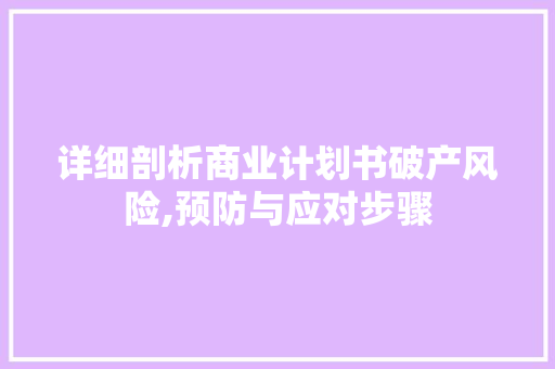详细剖析商业计划书破产风险,预防与应对步骤