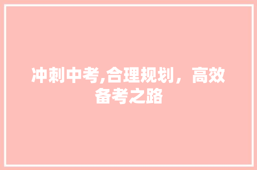 冲刺中考,合理规划，高效备考之路