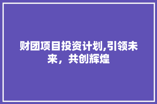财团项目投资计划,引领未来，共创辉煌