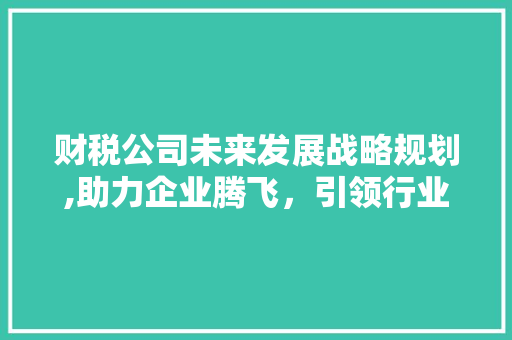 财税公司未来发展战略规划,助力企业腾飞，引领行业新潮流