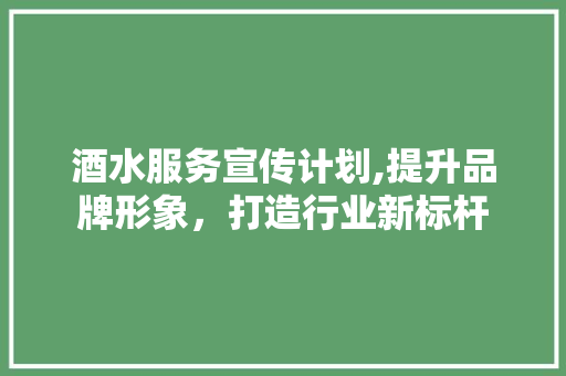 酒水服务宣传计划,提升品牌形象，打造行业新标杆