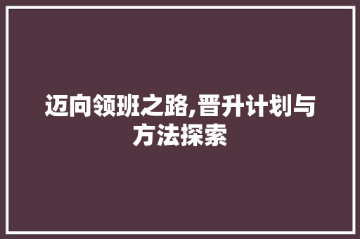 迈向领班之路,晋升计划与方法探索