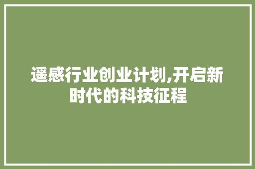 遥感行业创业计划,开启新时代的科技征程