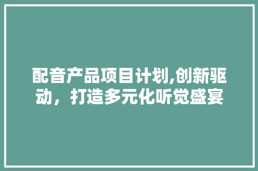 配音产品项目计划,创新驱动，打造多元化听觉盛宴