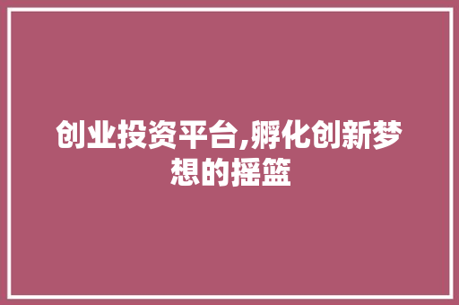 创业投资平台,孵化创新梦想的摇篮