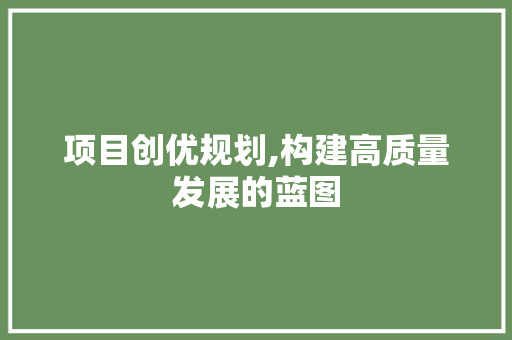 项目创优规划,构建高质量发展的蓝图