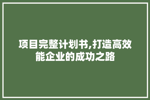 项目完整计划书,打造高效能企业的成功之路