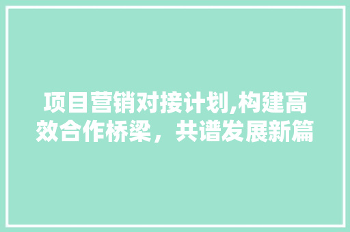 项目营销对接计划,构建高效合作桥梁，共谱发展新篇章