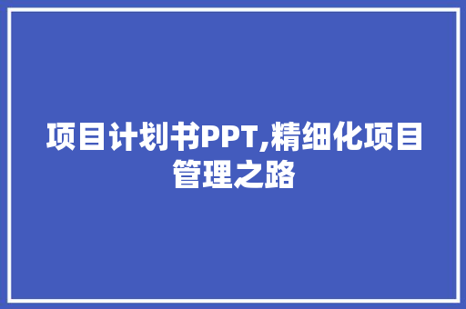 项目计划书PPT,精细化项目管理之路