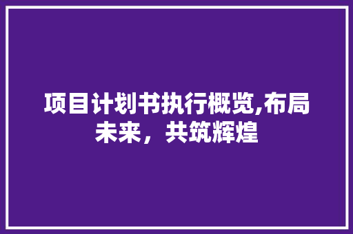 项目计划书执行概览,布局未来，共筑辉煌