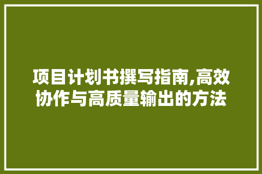 项目计划书撰写指南,高效协作与高质量输出的方法 成语大全