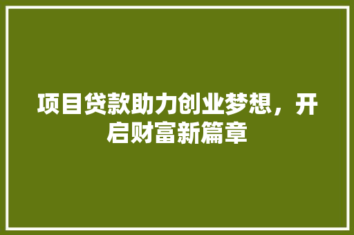项目贷款助力创业梦想，开启财富新篇章 工作总结