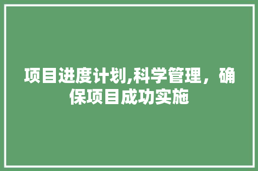 项目进度计划,科学管理，确保项目成功实施 工作总结
