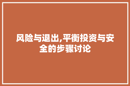 风险与退出,平衡投资与安全的步骤讨论