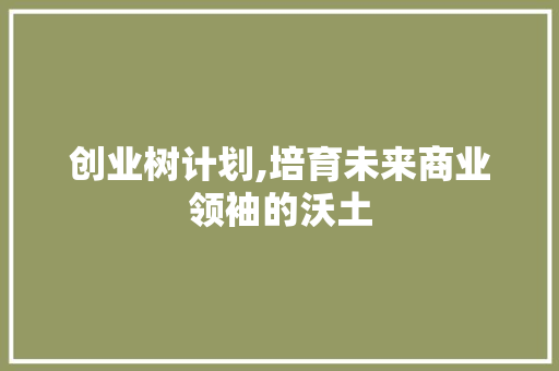 创业树计划,培育未来商业领袖的沃土
