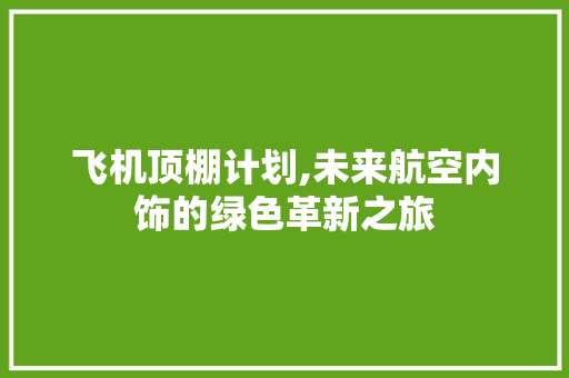 飞机顶棚计划,未来航空内饰的绿色革新之旅