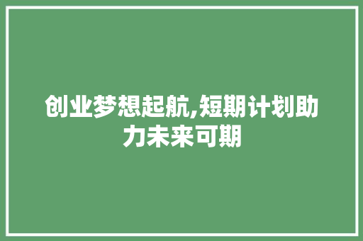 创业梦想起航,短期计划助力未来可期