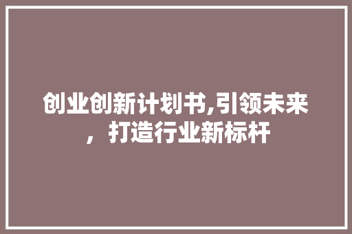 创业创新计划书,引领未来，打造行业新标杆