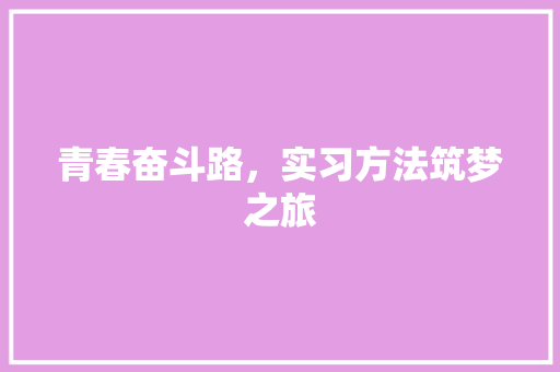 青春奋斗路，实习方法筑梦之旅