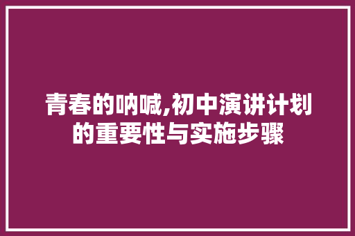 青春的呐喊,初中演讲计划的重要性与实施步骤