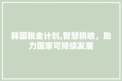 韩国税金计划,智慧税收，助力国家可持续发展