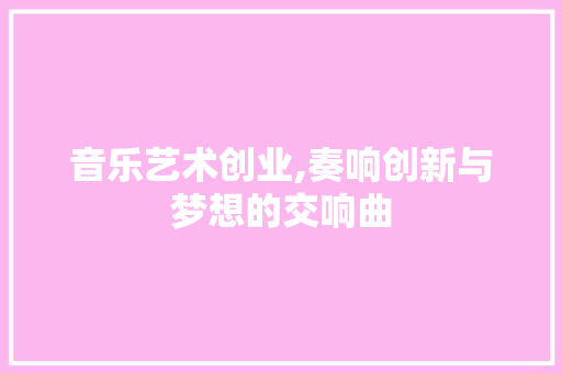 音乐艺术创业,奏响创新与梦想的交响曲