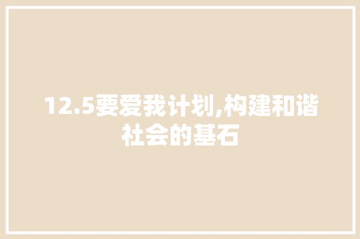 12.5要爱我计划,构建和谐社会的基石 工作计划