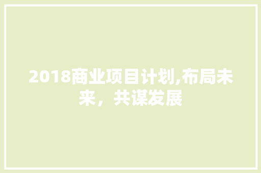 2018商业项目计划,布局未来，共谋发展