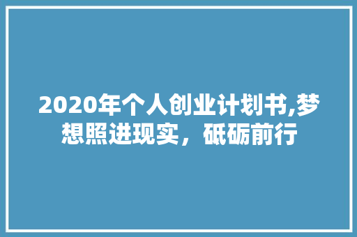 2020年个人创业计划书,梦想照进现实，砥砺前行 成语大全