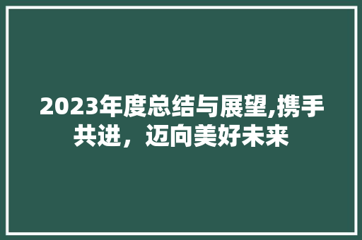 2023年度总结与展望,携手共进，迈向美好未来